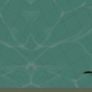 Meet your Posher, Ruth